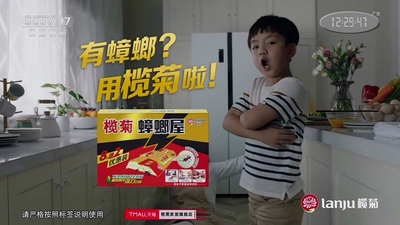17.榄菊灭蚊.jpg